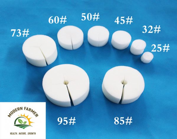 Germination Sponge (Round)