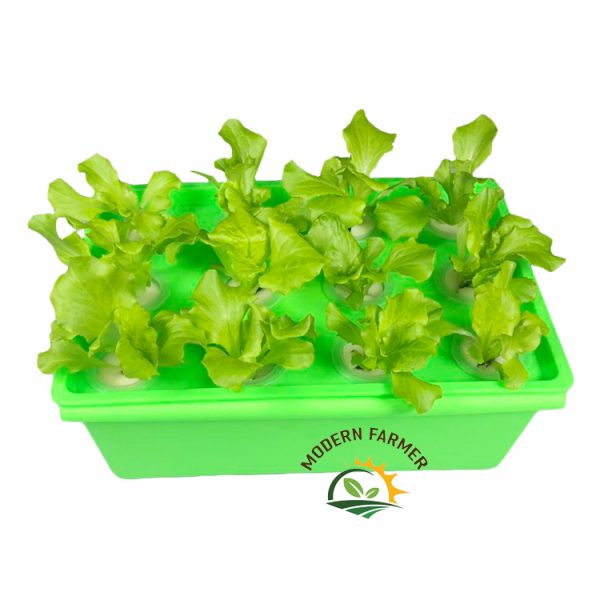 Hydroponic starter kit - Image 5