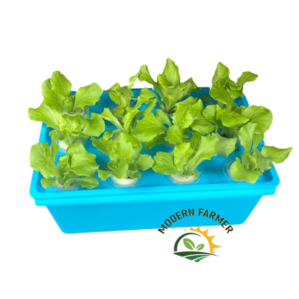 Hydroponic starter kit