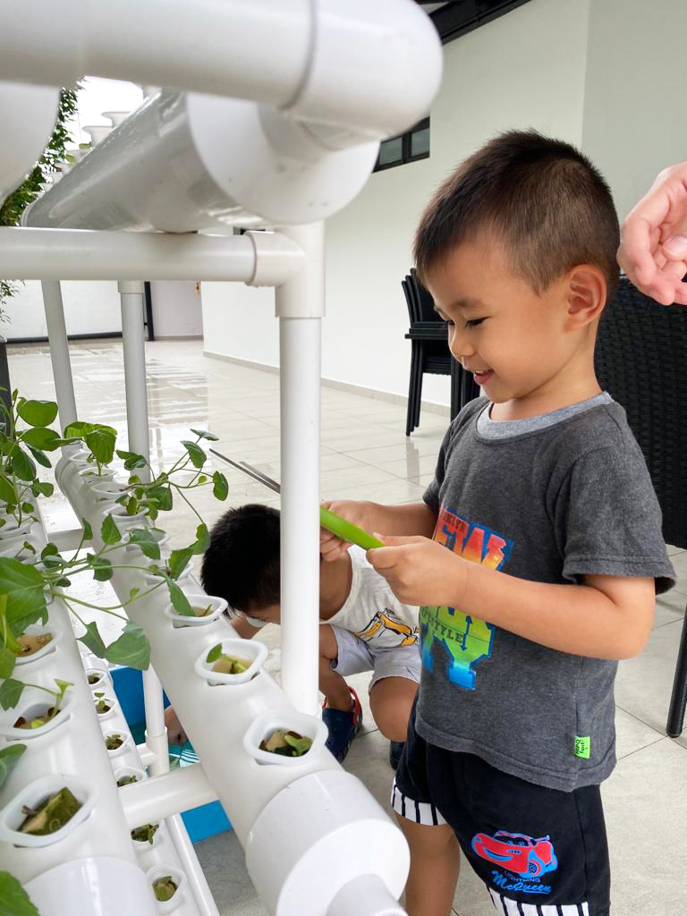 Automated Hydroponic Tower - Modern Farmer