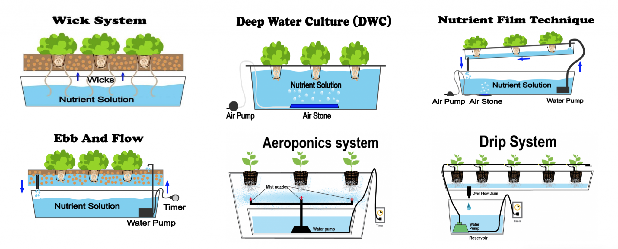 What are the 6 types of hydroponics? | Modern Farmer