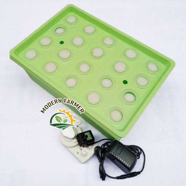 Hydroponic starter kit - Image 7