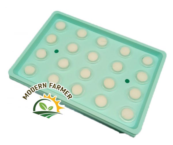 Hydroponic starter kit - Image 6