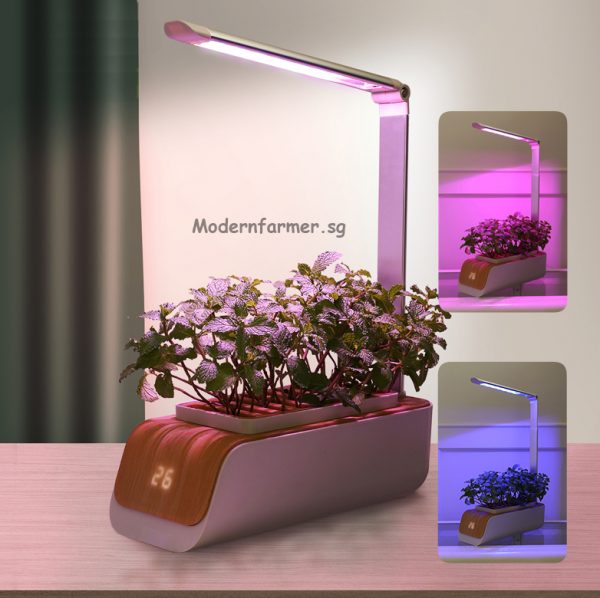 Table Top Smart Planter - Image 2