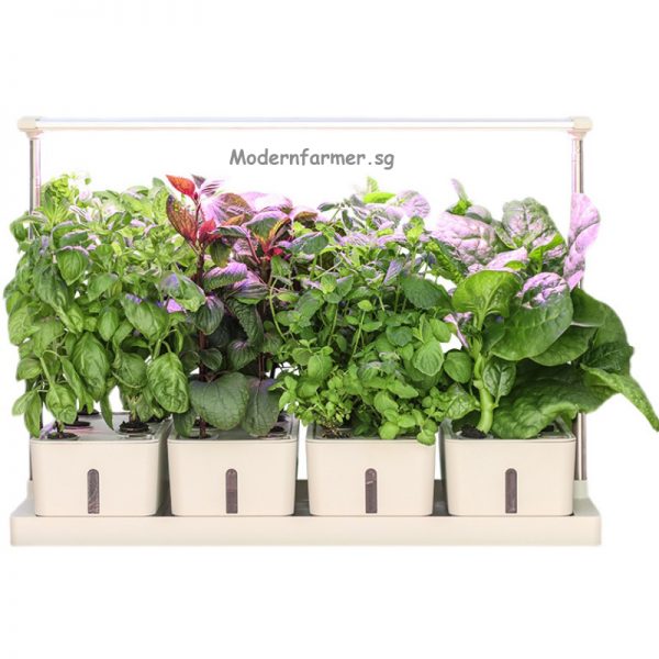 Smart Planting Pots System