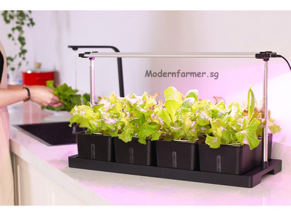 Smart Planting Pots System - Image 2